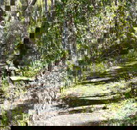 Euglah Rock Walking Track - Accommodation Broadbeach