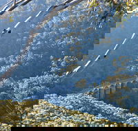 Forest Walk to Sublime Point Track - Accommodation Broadbeach