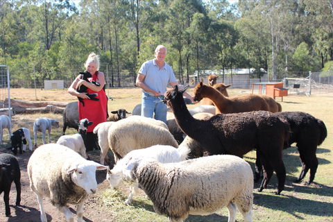 Haigslea EWE Nique Hobby Farm - Accommodation Broadbeach 0