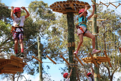 Next Level Monkey Business - Accommodation Broadbeach 0