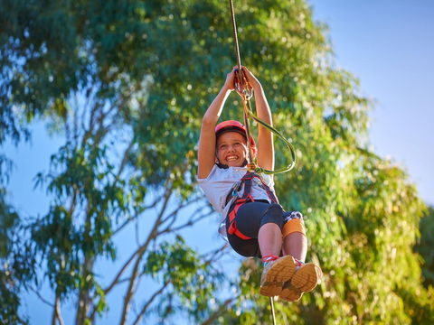 Next Level Monkey Business - Accommodation Broadbeach 2