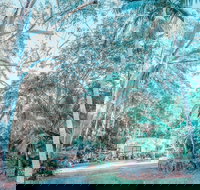 Phillips Gallery - Accommodation Broadbeach