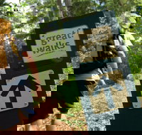 Sunshine Coast Hinterland Great Walk - Accommodation Broadbeach