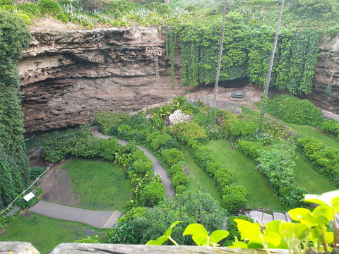 Umpherston Possum Tours - Accommodation Broadbeach 2