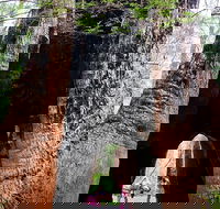 Ancient Empire Walk Valley of the Giants - Accommodation Broadbeach