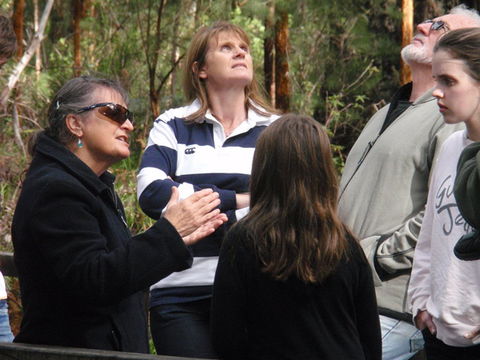 Ancient Empire Walk, Valley Of The Giants - Accommodation Broadbeach 1