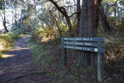 Arthurs Seat To Kings Falls Walk - Accommodation Broadbeach 0