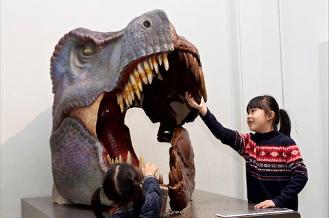 Australian Museum - Accommodation Broadbeach 0