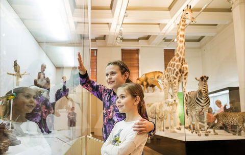 Australian Museum - Accommodation Broadbeach 1