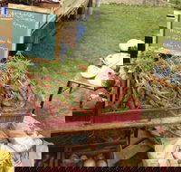 Burnie Farmers Market - Accommodation Broadbeach