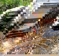 Honey Tasmania - The Beehive - Accommodation Broadbeach