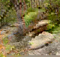 Mount Olive Trail - Accommodation Broadbeach