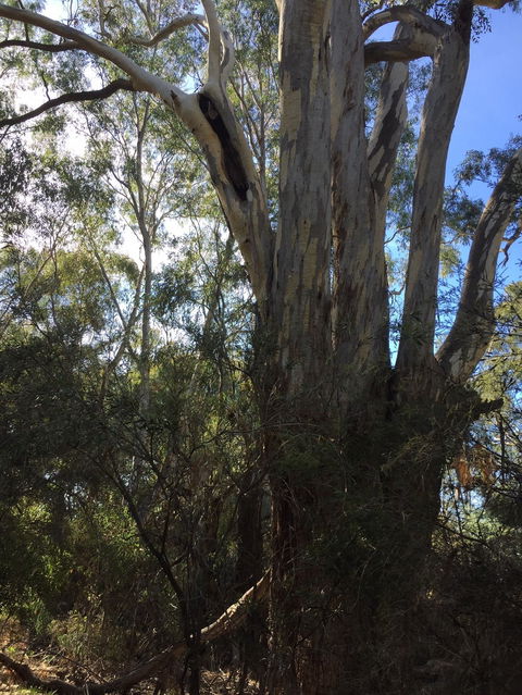 Northern Beaches - Accommodation Broadbeach 0