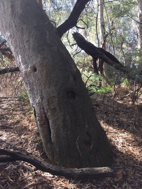 Northern Beaches - Accommodation Broadbeach 1