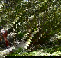 Alfred National Park - Accommodation Broadbeach