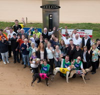 Geelong Greyhound Racing Club - The Beckley Centre