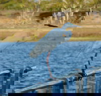 Groper Creek - Accommodation Broadbeach