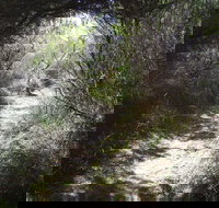 Jack And Hilda McArthur Walk - Accommodation Broadbeach