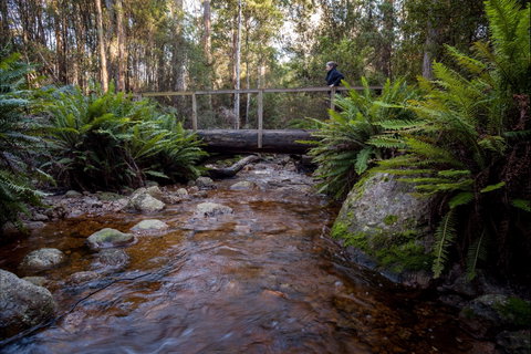 O'Neills Creek Picnic Reserve - Accommodation Broadbeach 0