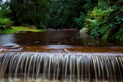 O'Neills Creek Picnic Reserve - Accommodation Broadbeach 1