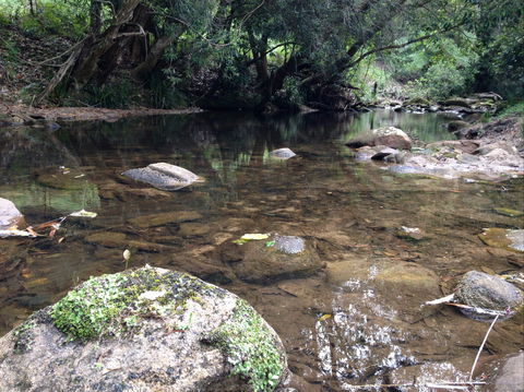 Otford Farm Horse Riding - Accommodation Broadbeach 2