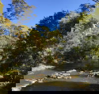 Pipers River Board Walk - Accommodation Broadbeach