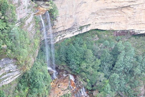 All-Inclusive Blue Mountains Tour In A Luxury Mercedes Sprinter - Accommodation Broadbeach 9