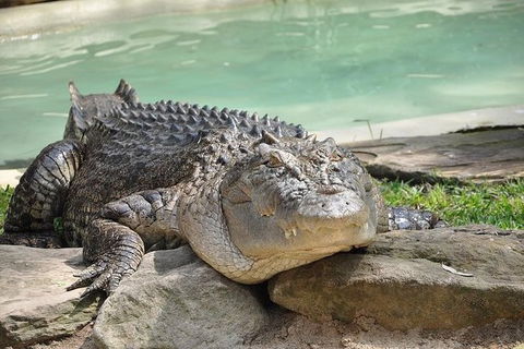 All-Inclusive Blue Mountains Tour In A Luxury Mercedes Sprinter - Accommodation Broadbeach 7