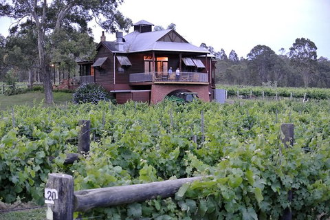 Six Hour - Plan Your Own Wine And Cheese Tour Hunter Valley - Accommodation Broadbeach 11