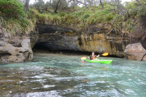 Half-Day Jervis Bay Sea Kayak Tour - Accommodation Broadbeach 8
