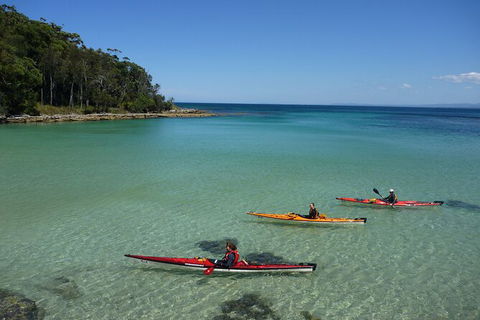 Half-Day Jervis Bay Sea Kayak Tour - Accommodation Broadbeach 3