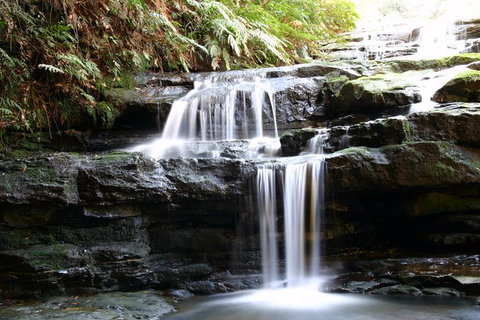 Private 10-hour Tour To Blue Mountains From Sydney - Hotel Pick Up & Drop Off - Accommodation Broadbeach 6