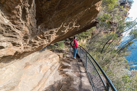 Blue Mountains Highlights & Wildlife Park - Accommodation Broadbeach 0
