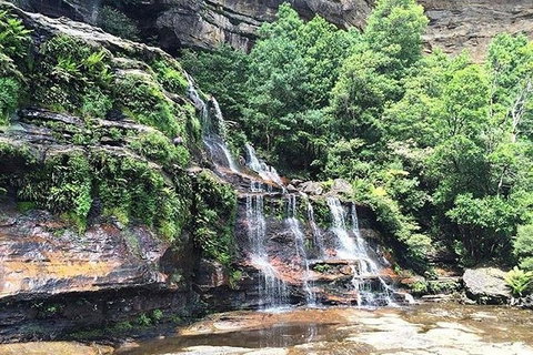 Blue Mountains Highlights & Wildlife Park - Accommodation Broadbeach 8