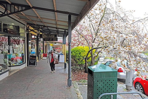 Blue Mountains Highlights, Wildlife Park And Scenic World Full Day Private Tour - Accommodation Broadbeach 2