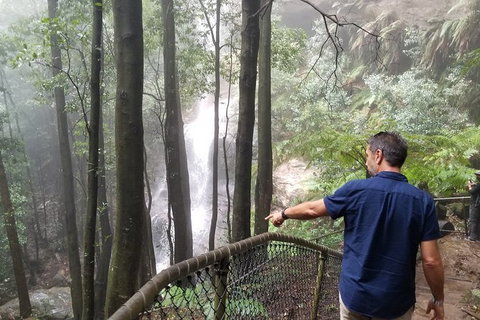 Blue Mountains Highlights, Wildlife Park And Scenic World Full Day Private Tour - Accommodation Broadbeach 6
