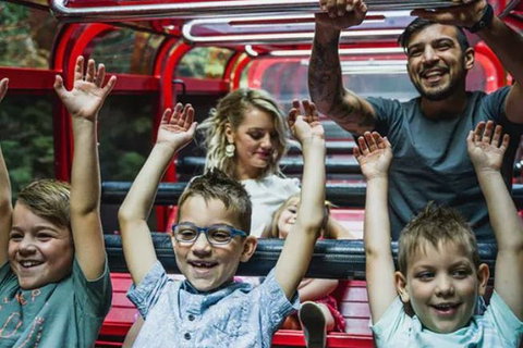 Blue Mountains Highlights, Wildlife Park And Scenic World Full Day Private Tour - Accommodation Broadbeach 5