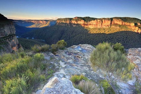 Blue Mountains Highlights, Wildlife Park And Scenic World Full Day Private Tour - Accommodation Broadbeach 4