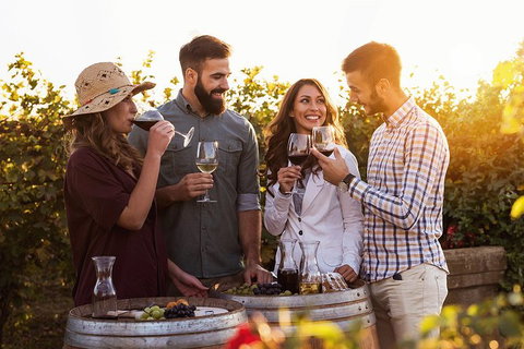 Hunter Valley Highlights Private Wine Tour From Sydney - Accommodation Broadbeach 0