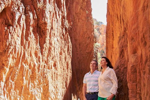 Best Of Alice Springs Full Day Tour - Accommodation Broadbeach 4
