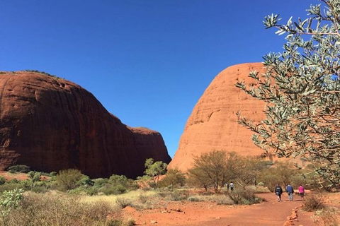 5-Hour Kata Tjuta Sunrise Tour From Ayers Rock With Breakfast - Accommodation Broadbeach 2