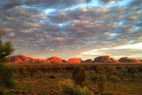 5-Hour Kata Tjuta Sunrise Tour From Ayers Rock With Breakfast - Accommodation Broadbeach 0