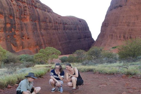 5-Hour Kata Tjuta Sunrise Tour From Ayers Rock With Breakfast - Accommodation Broadbeach 3