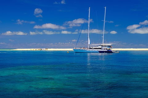Ocean Spirit Michaelmas Cay Dive And Snorkel Cruise From Cairns - Accommodation Broadbeach 1