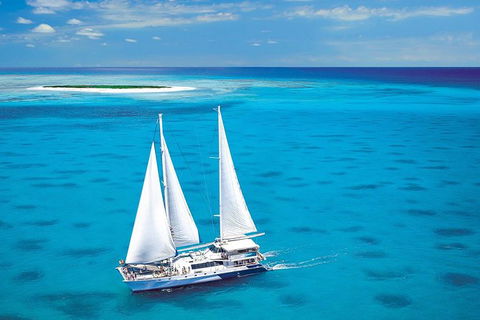 Ocean Spirit Michaelmas Cay Dive And Snorkel Cruise From Cairns - Accommodation Broadbeach 0