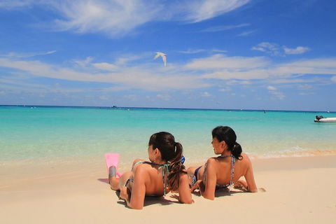 Ocean Spirit Michaelmas Cay Dive And Snorkel Cruise From Cairns - Accommodation Broadbeach 3