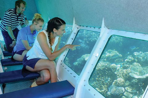 Ocean Spirit Michaelmas Cay Dive And Snorkel Cruise From Cairns - Accommodation Broadbeach 5