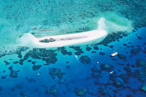 Ocean Spirit Michaelmas Cay Dive And Snorkel Cruise From Cairns - Accommodation Broadbeach 4