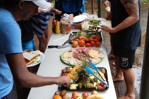 Atherton Tablelands Waterfalls Tour From Cairns - Accommodation Broadbeach 3