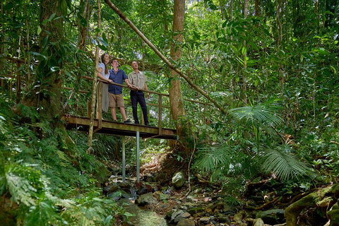 Daintree And Cape Tribulation Tour From Cairns - Accommodation Broadbeach 3